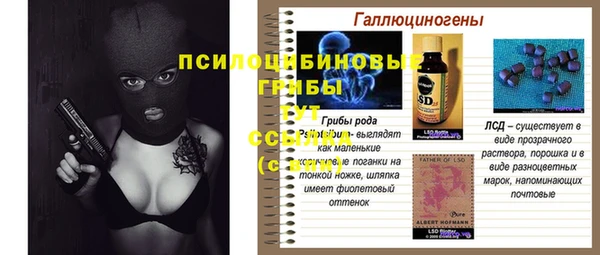 тгк Аркадак