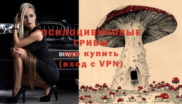 прущая мука Арсеньев