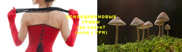 тгк Аркадак