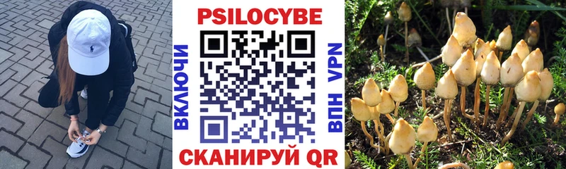 где купить   Осинники  OMG ссылки  Псилоцибиновые грибы прущие грибы 